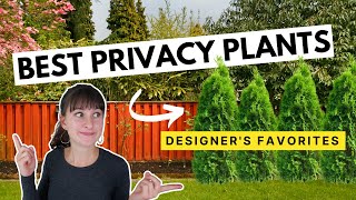 18 Evergreen Tall Narrow Plants for Fence Cover 🪴  Growth rates for beautiful privacy plants [upl. by Pooh843]