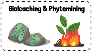 Bioleaching amp Phytomining Alternative Methods of Extracting Metals  GCSE Chemistry Revision [upl. by Timoteo626]