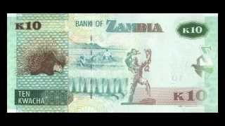 All Zambian Kwacha Banknotes  2012 to 2014 in HD [upl. by Phillane]