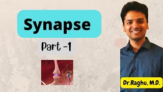Synapse  Definition types structure transmission amp inhibition [upl. by Salahcin]