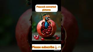 Peacock converted Gifs😉😉🫠animalscartoonpeacockbeautifulwatermelonpomegranatetigerreelsreel [upl. by Boni]