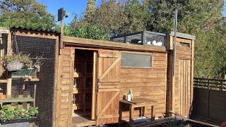 Tippler pigeon loft and kit box measurements [upl. by Ater]