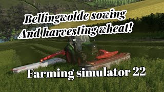 Bellingwolde Part 2 Sowing and harvesting wheat Farming simulator [upl. by Hartzell]