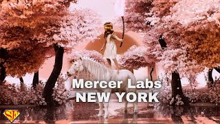 Discover Mercer Labs New York Museum of Art and Technology [upl. by Fernyak]