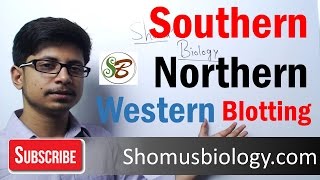 Difference between Southern and northern blotting and western blotting [upl. by Wareing429]