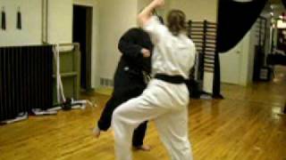 Kyokushin Ninjutsu fight 1 [upl. by Buchheim103]