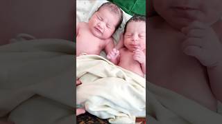 Twin Newborn Babies Vs Cute Baby Girl [upl. by Nallak]