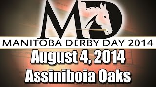 Assiniboia Downs  August 4 2014  Assiniboia Oaks [upl. by Aronel113]