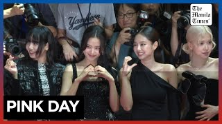 BLACKPINK meet fans on pink carpet [upl. by Ecirtahs543]