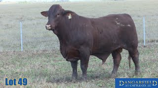 Lot 49 Dangarfield G139 [upl. by Novj913]