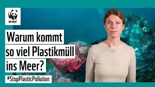 Warum kommt so viel Plastikmüll ins Meer StopPlasticPollution [upl. by Lisa]