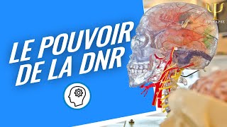 Formation DNR  reprogrammer le cerveau en quelques minutes  Deep Neural Repatterning [upl. by Bloxberg782]