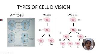 Cell Division  Learn from a Bio Mentor [upl. by Dewey]