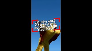 ¿Quién está detrás de la publicidad de Bachoco [upl. by Madel]