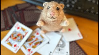 Hamsters Gambling [upl. by Seline]