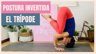 YOGA PARA PRINCIPIANTES  Posturas INVERTIDAS  EL TRÍPODE [upl. by Ruomyes642]