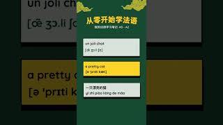 从零开始学法语 英语中文普通话 241113 learnenglish learnfrench learnchinese learnmandarin [upl. by Erny]