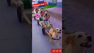 Railgadi chuk chuk🚂 railgadi chukchuk dog shorts ytshorts trending viralreels tiktok [upl. by Gianni]