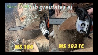 Stihl MS 180 vs MS 193 TC [upl. by Phionna]