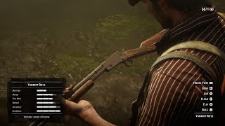 How to collect the Varmint Rifle  Red Dead Redemption 2 [upl. by Roby]