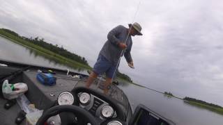 Pascagoula Bass Fishing in June [upl. by Hobbs515]