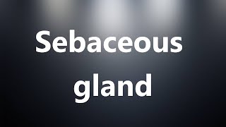 Sebaceous gland  Medical Meaning and Pronunciation [upl. by Cissej]