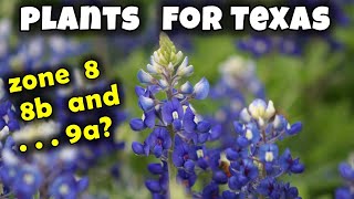 Plants for Texas Zone 8 8b 9a 🌻🌵🌱 [upl. by Barimah518]