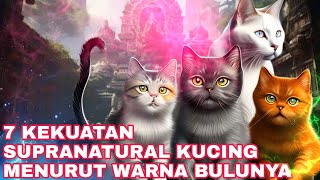 KUCING INI BIKIN KAYA DADAKAN7 KEISTIMEWAAN KUCING MENURUT WARNA BULUNYAKITAB PRIMBON JAWA KUNO [upl. by Leirud]