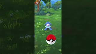 POPPLIO Community Day  Pokémon Go pokémon communityday pokémongo popplio shinypokemon [upl. by Adohr]