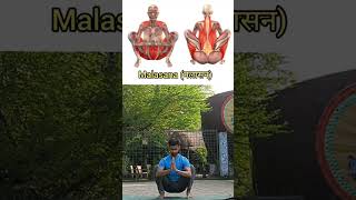 Malasana  मलासन  Garland Pose  yog malasana [upl. by Orgel658]