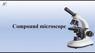 Compound microscope [upl. by Eicyac820]