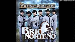 Conjunto Brio Norteno  Se Termino El Amor [upl. by Leopoldeen]