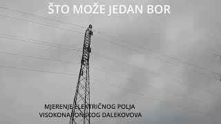 Što može jedan bor [upl. by Perl]