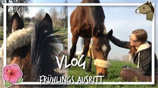 VLOG FRÜHLINGS  AUSRITT 2019  FMA am Stall  Vlog Pferd  FMA Ausreiten  jb Horses [upl. by Hadlee]