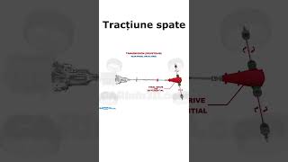 Cum este transmisă puterea de la motor la roțile mașinii 🚗💨 automobile tehnologie shorts auto [upl. by Rico]