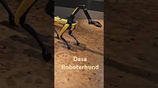 Dortmund  DASA  Roboterhund [upl. by Oram]