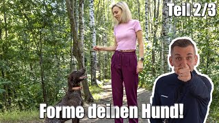 Du MUSST deinen HUND bewegen können  individualdistanz 23 [upl. by Neelear]