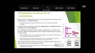 Formantes consonantes [upl. by Eseilana]