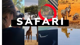 VLOG visite le SAFARI de Sigean en voiture La réserve Africaine du sud de la France Partie 1 [upl. by Doherty749]