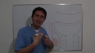 FILTRACIÓN GLOMERULAR Curso Completo Ver Descripción [upl. by Nohsar]