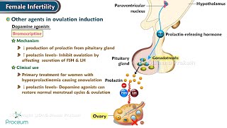 Female Infertility Ovulation Induction Agentsamp Other Agents in Ovulation Induction [upl. by Tikna170]