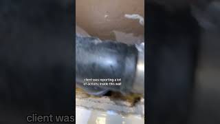 WORST plumbing fitting for RATS plumbingfitting rats twintrap plumbing twinhomeexperts [upl. by Pritchett978]