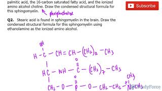 Drawing Sphingomyelin Structures [upl. by Nimref543]