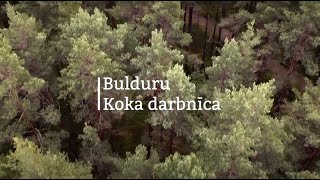 Bulduru Koka darbnīca 2023 [upl. by Stevena506]