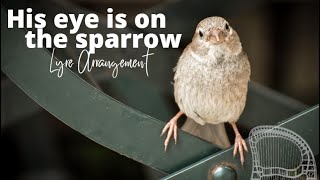 His Eye is On the Sparrow [upl. by Aileahcim]