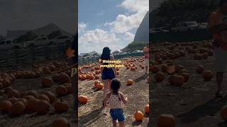 Waimanalo pumpkin patch with my ohana hawaii pumpkinpatch dayinmylife [upl. by Ecertap]