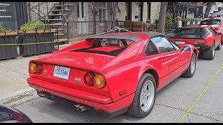 Little Italy Festival Of Italian Cars Lots Of Ferraris😍 [upl. by Meredith]