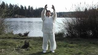 Taiji Qigong Shibashi 18 short [upl. by Laird]