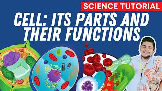 PARTS AND FUNCTIONS OF A CELL SCIENCE 7 QUARTER 2 MODULE 3 [upl. by Elata]