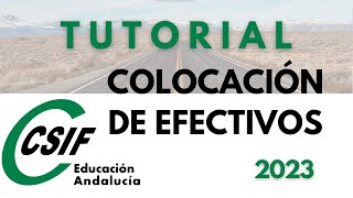 Tutorial Paso a Paso Cómo Rellenar la Solicitud de Colocación de Efectivos 20232024 [upl. by Nileuqaj]